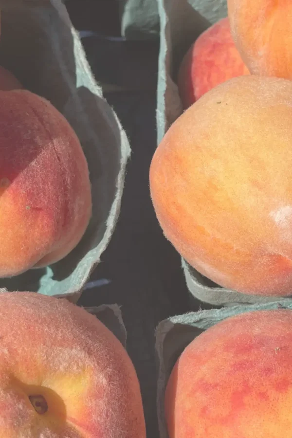 close up of beaches in green produce boxes